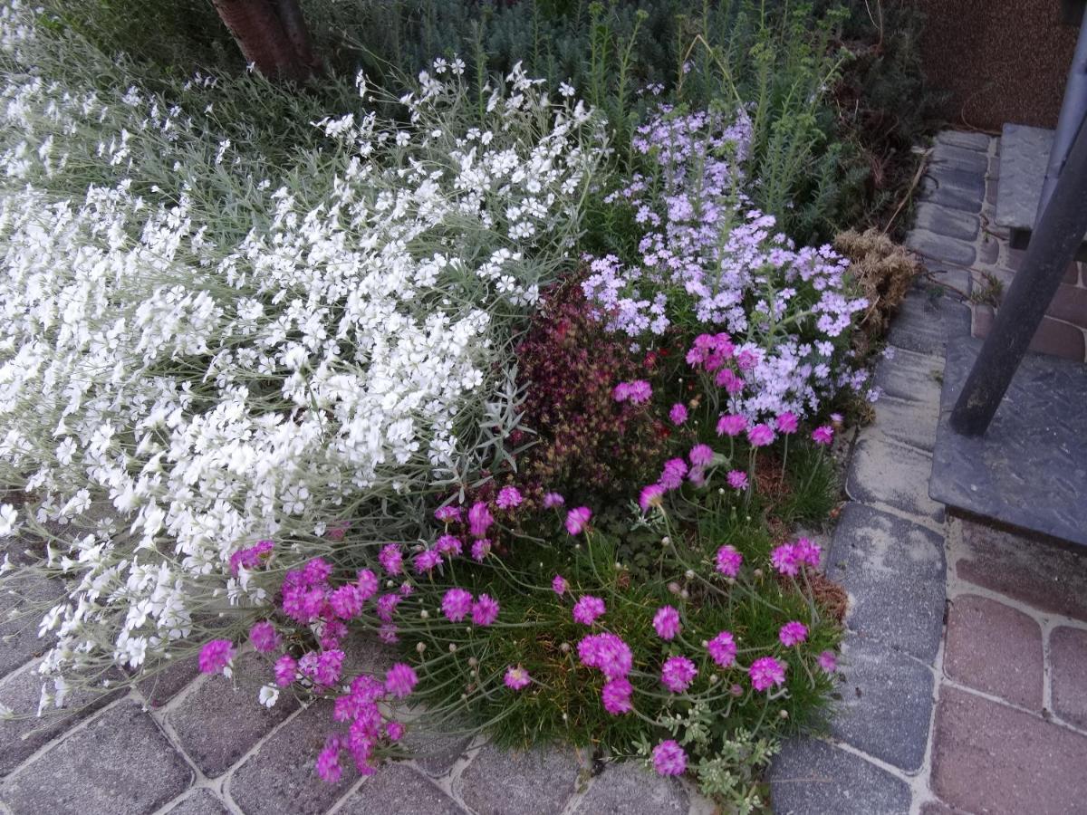 Pokoje Goscinne Olka Swarzewo Exterior foto